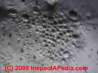 Paint lab Photograph of sample of failed paint